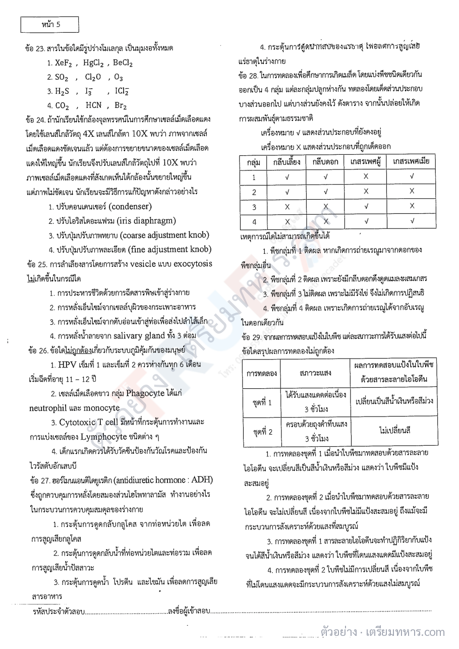 ตัวอย่างหน้า 2