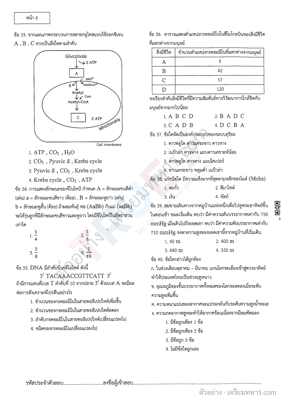 ตัวอย่างหน้า 1