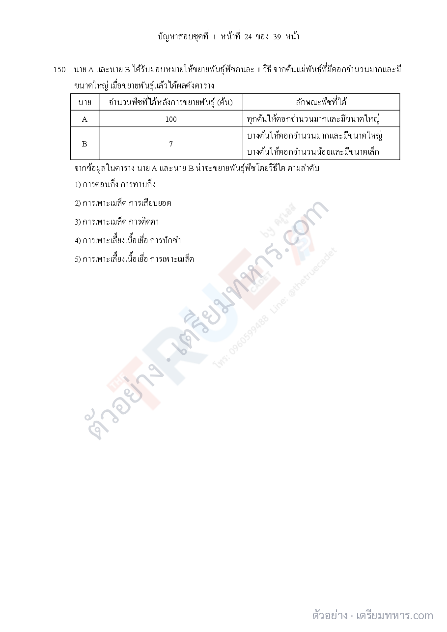 ตัวอย่างหน้า 6