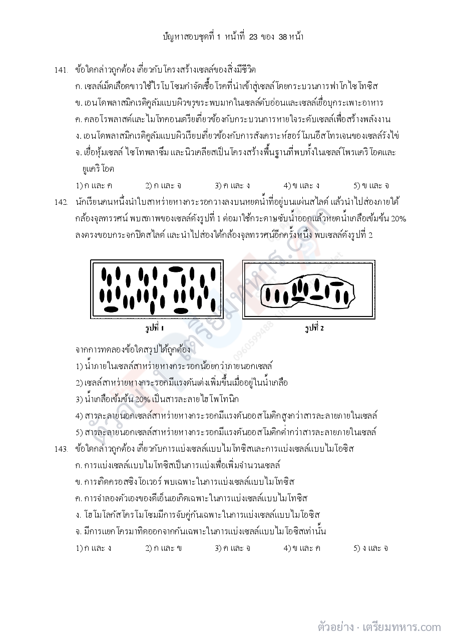 ตัวอย่างหน้า 6