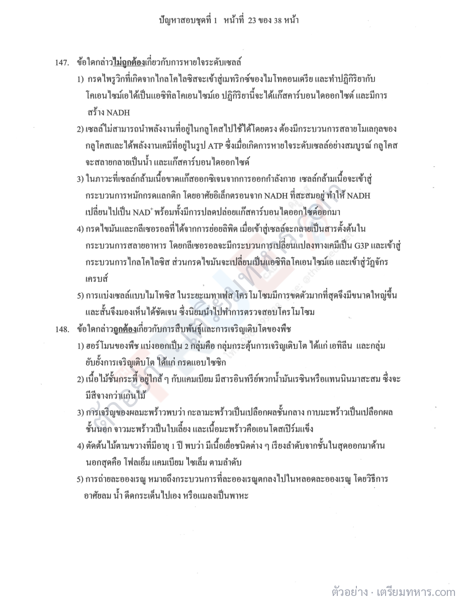 ตัวอย่างหน้า 4