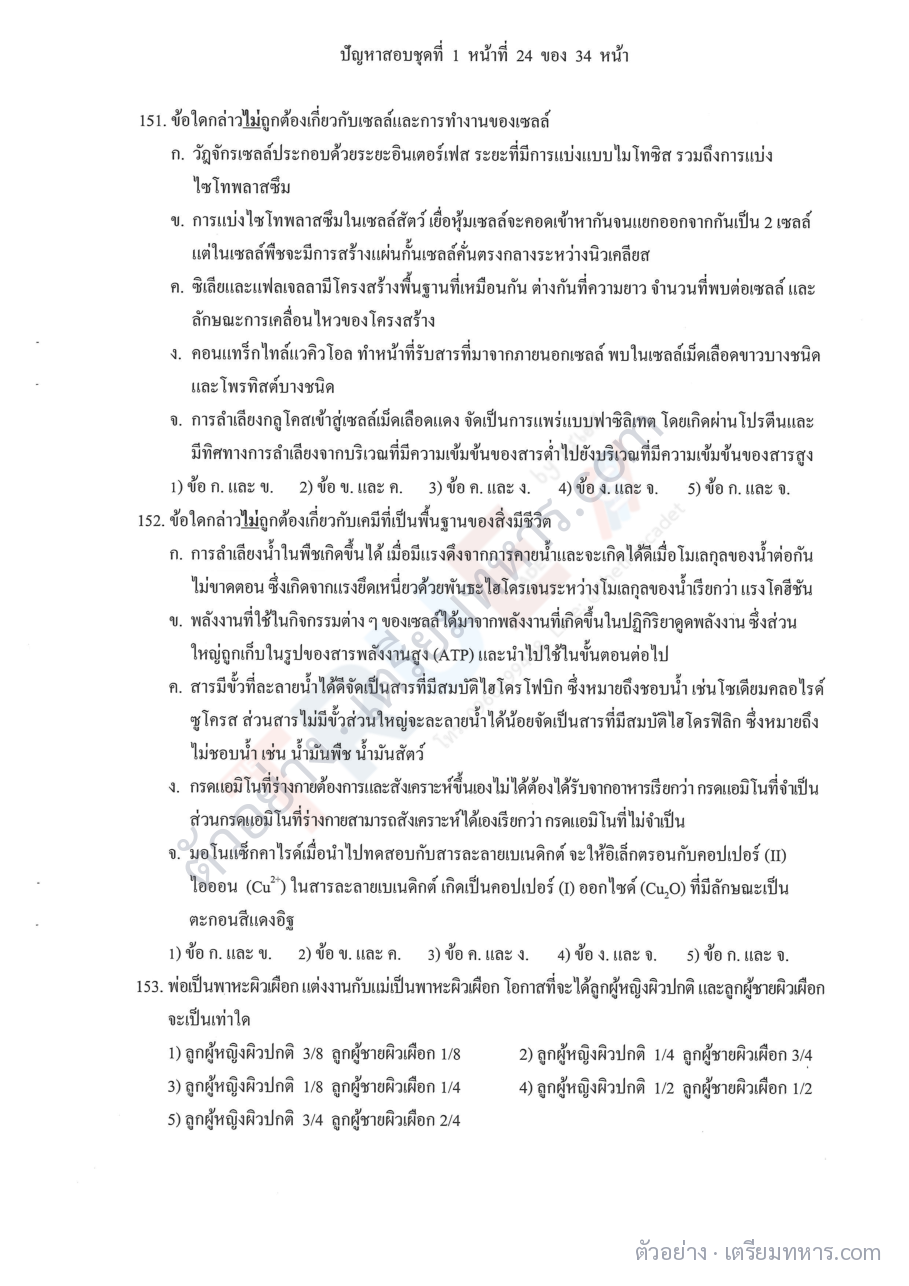 ตัวอย่างหน้า 7