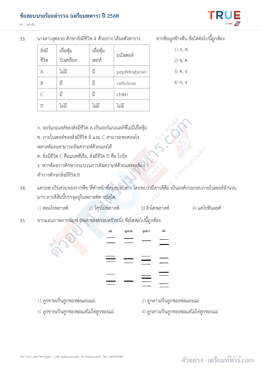 ตัวอย่างหน้า 3