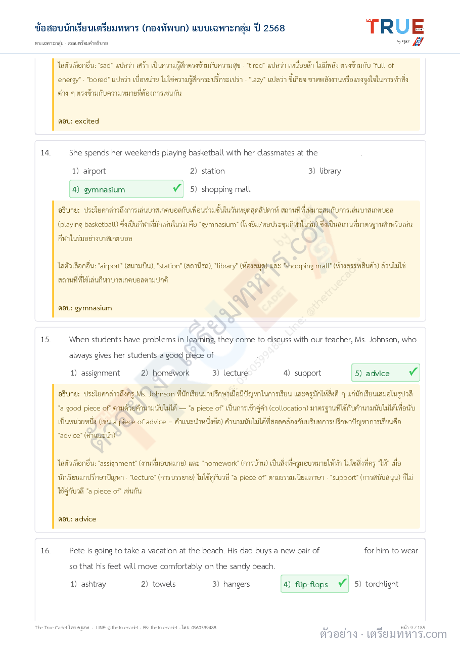 ตัวอย่างหน้า 13